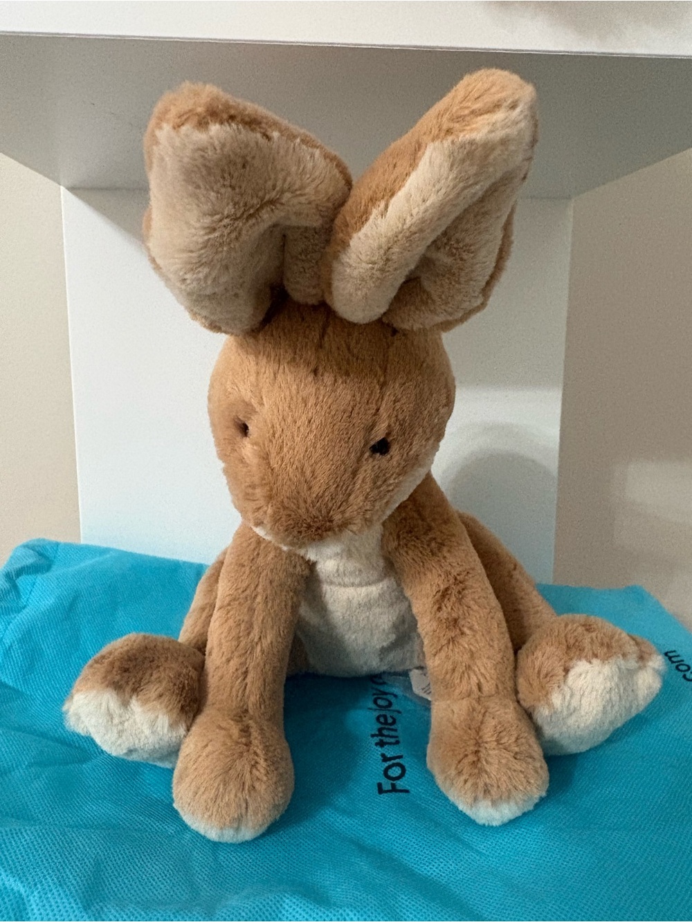 Jellycat Hortice the hare Retired. BNWT, Jellycat bag, care instructions & more.
